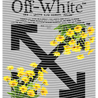 Brand Catalog-ZX 609